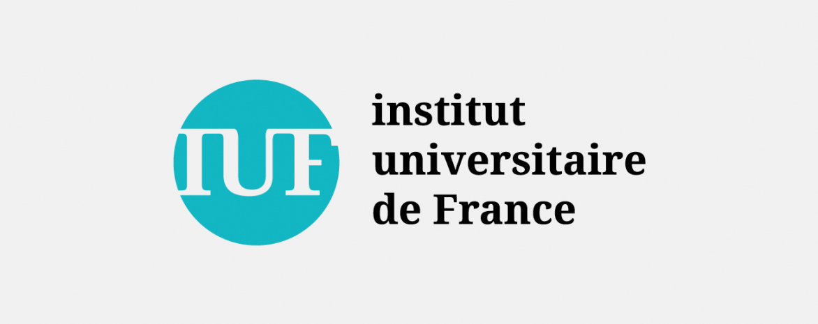 Logo institut universitaire de France Logo institut universitaire de France